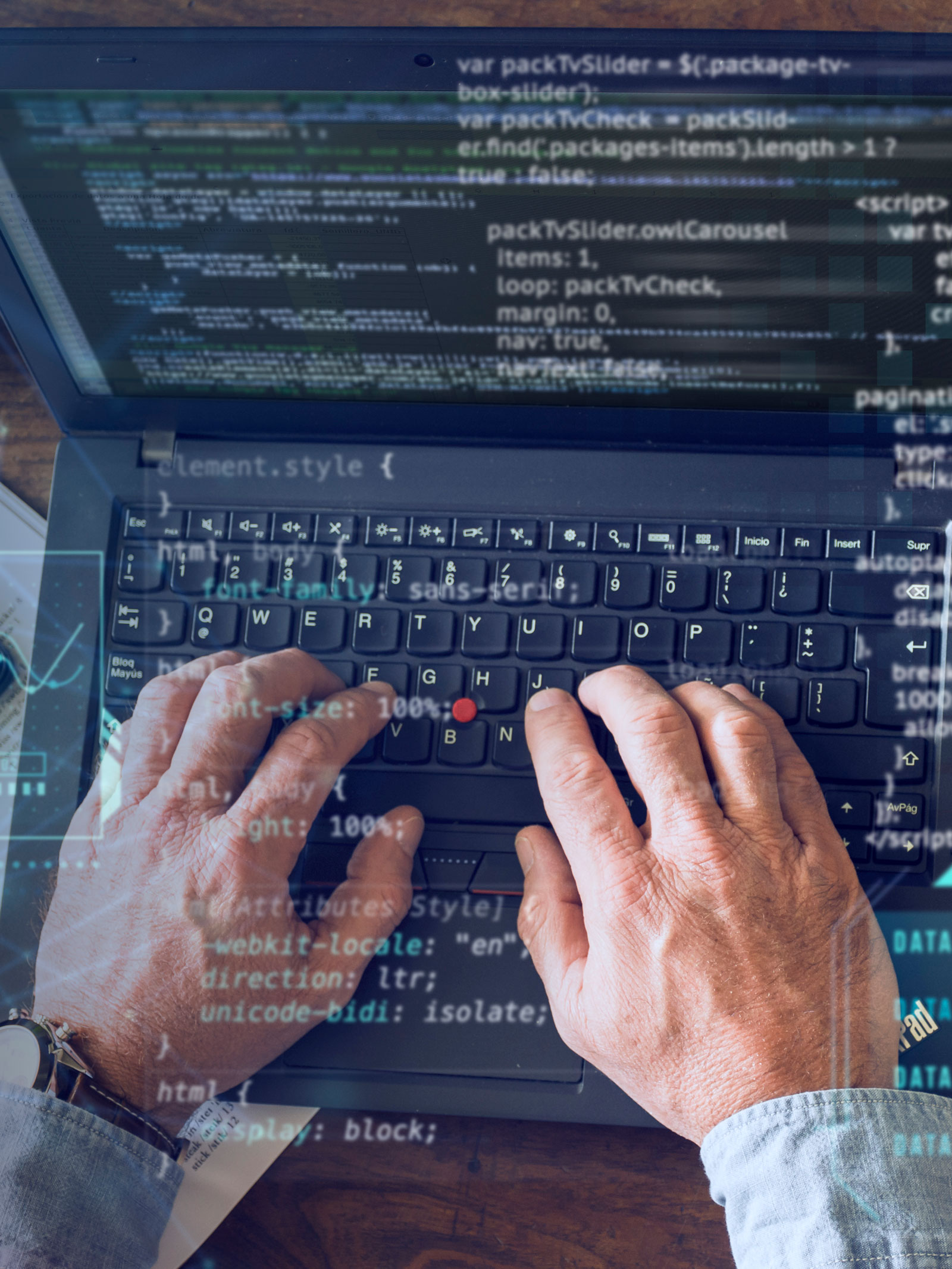 Servicio software